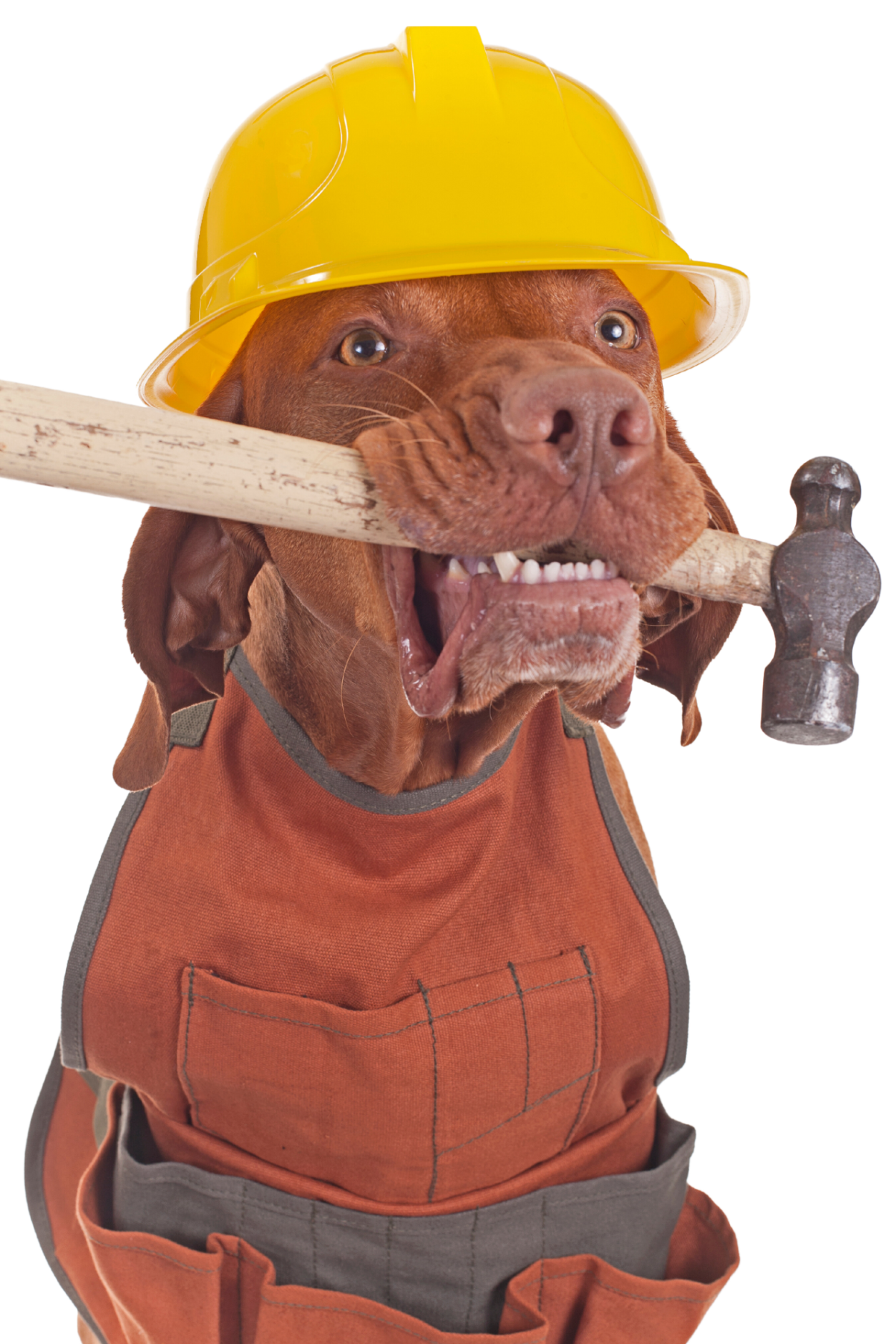 Mr Fix And Fit at work